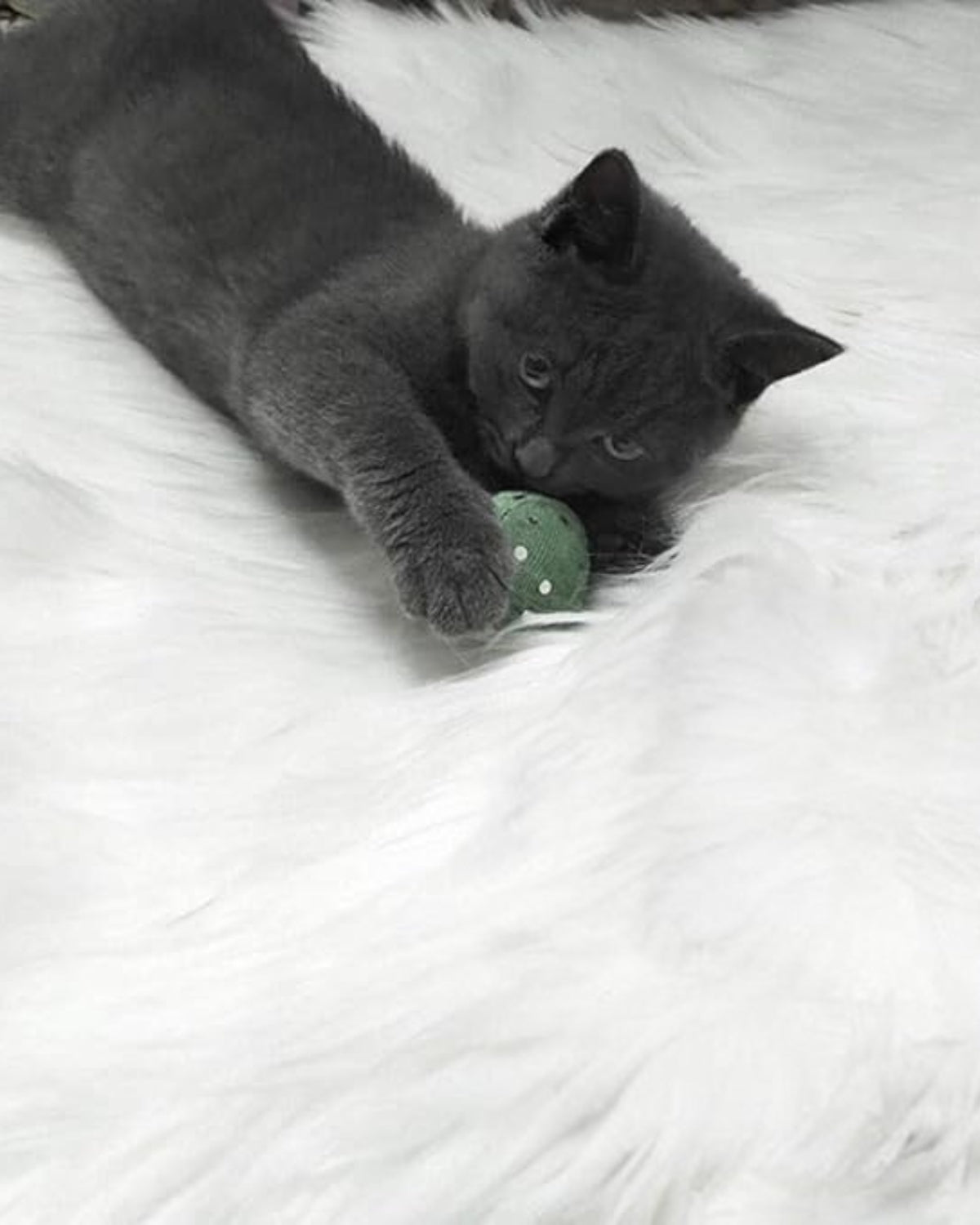 Le Luxe Furré – Waschbarer Teppich für Elegante Räume 3