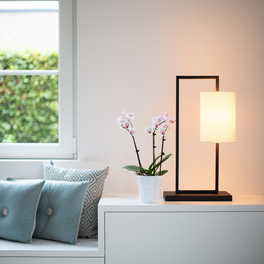 Tischleuchte Urbino Schwarz – Modernes Design Für Stilvolle Akzente 1