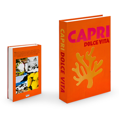 ChicFaux Deko Bücher Set – Stilvolle Akzente Für Ihr Zuhause 0