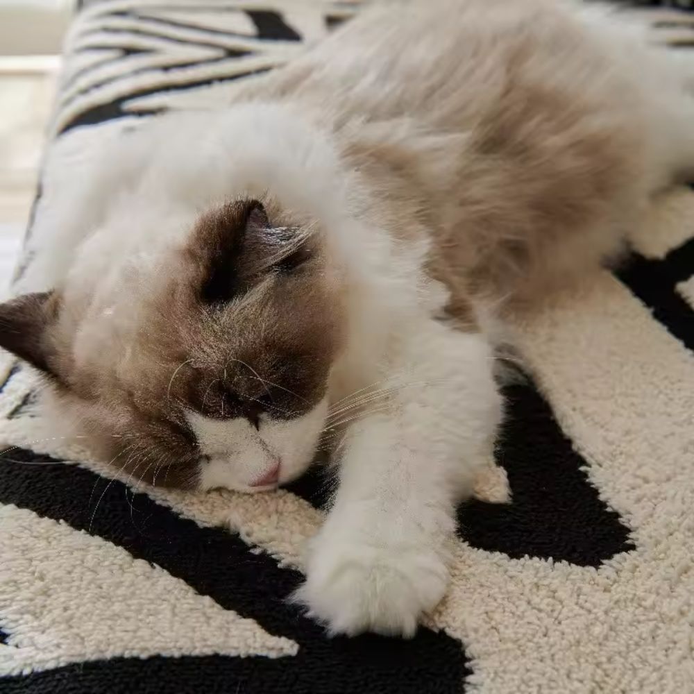 Sofabezug Urban Maze – Stilvoller Schutz Für Ihr Zuhause 6